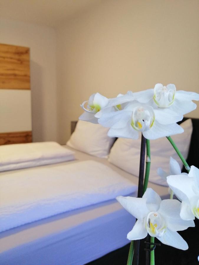 Appartement Tauernlife Schwarzach im Pongau Εξωτερικό φωτογραφία